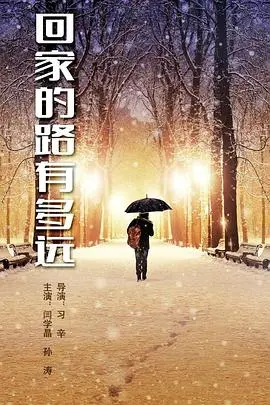 《回家的路有多远》：一场关于亲情、乡愁与自我救赎的催泪之旅，看懂了才明白人生