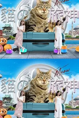 《猫之旅神》：一场关于信仰与治愈的奇幻旅程，温暖人心的猫咪奇遇记！